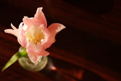 斜光