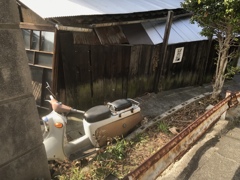 美はただ乱調にある