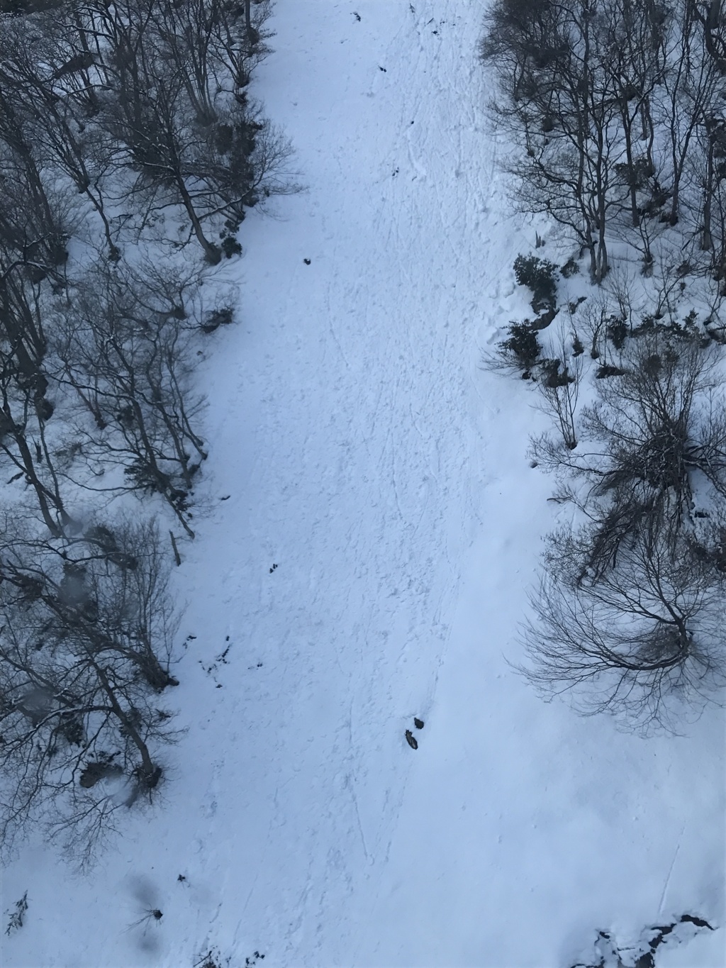 雪の坂