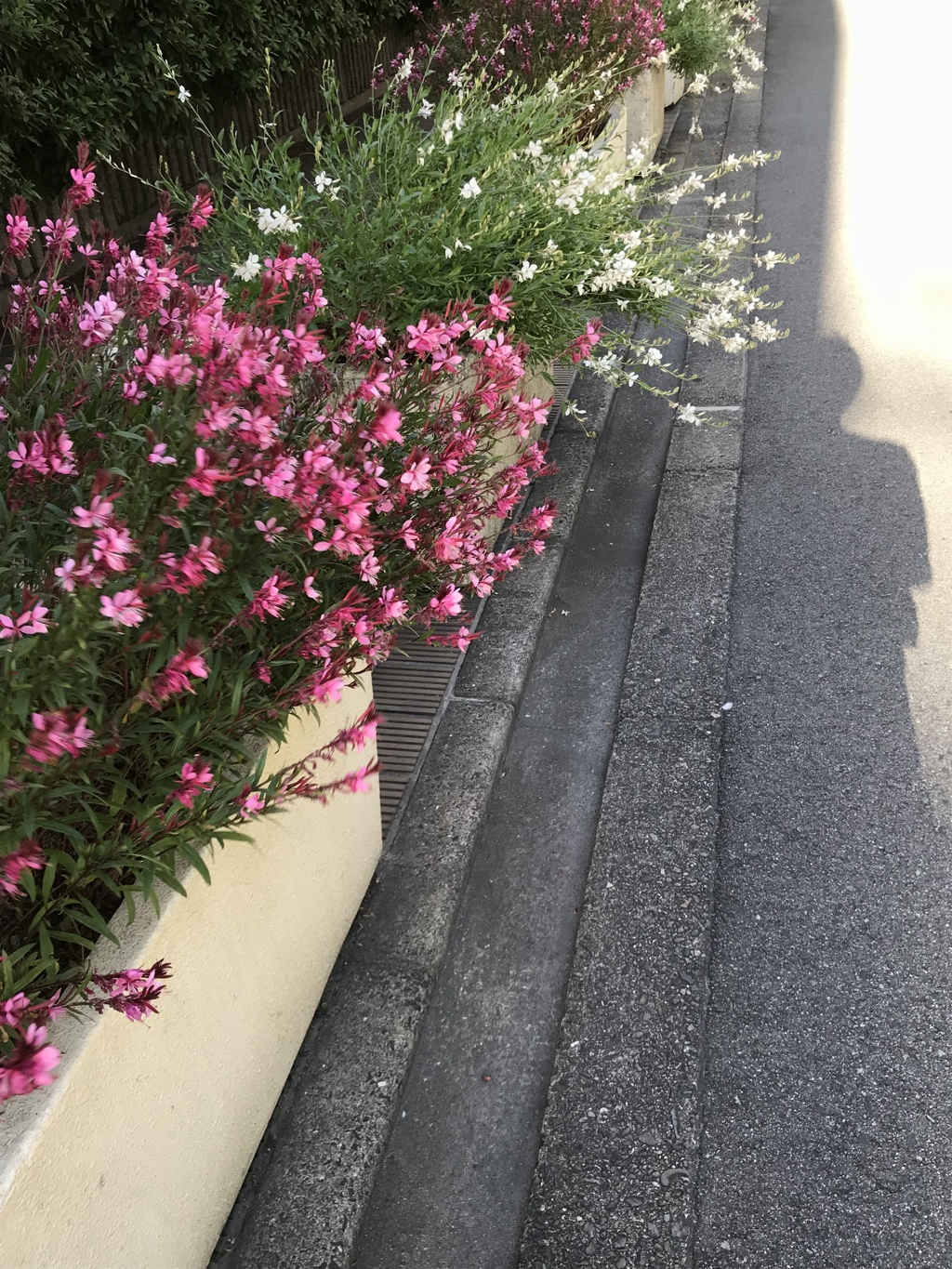 お疲れ様