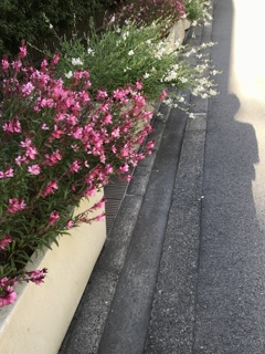 お疲れ様