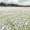 残り雪