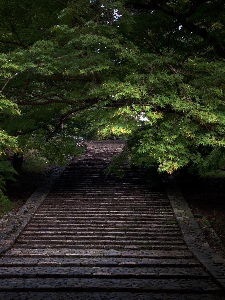 緑の階段