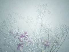 花束を君に