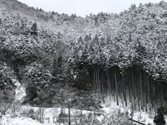 まっすぐにまっすぐに…