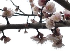 帰り道