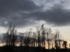 夕暮れ