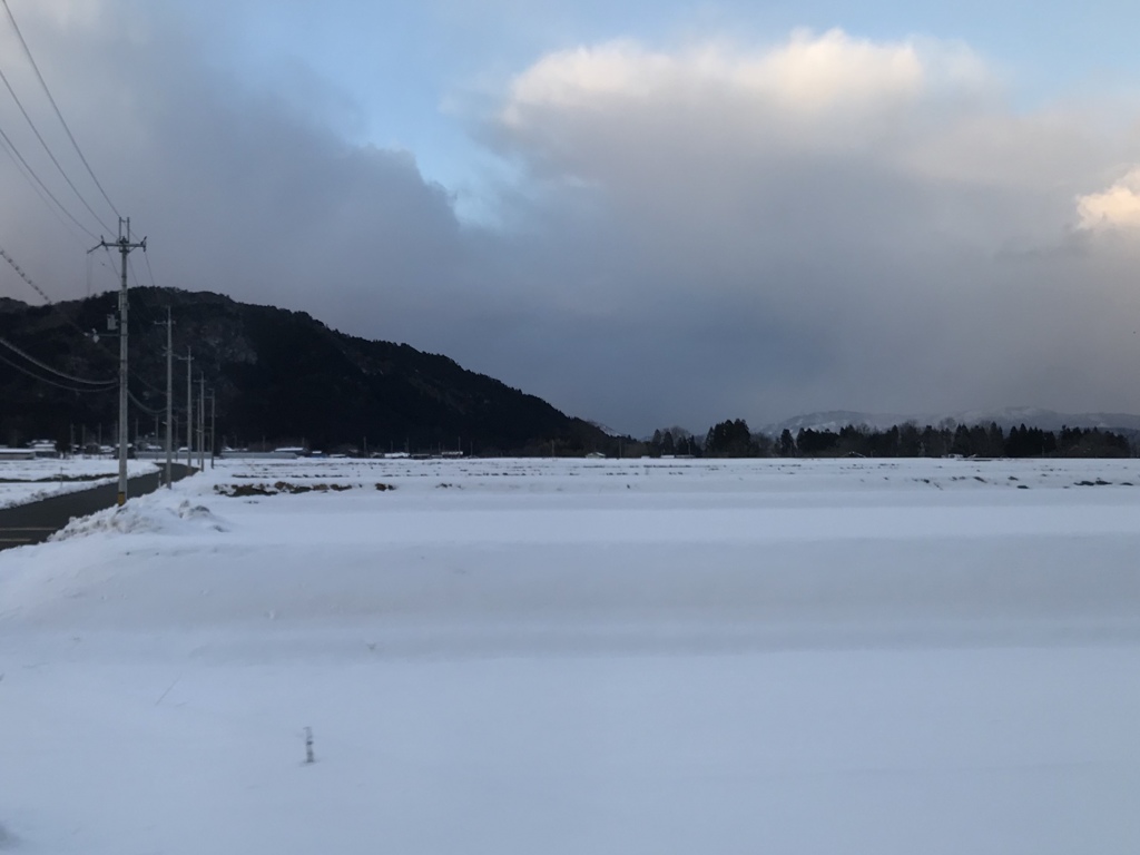 電線と雪原