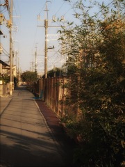線路沿いの道