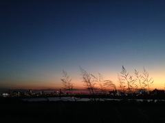 群青