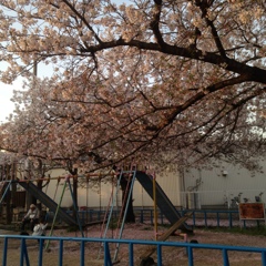 休息