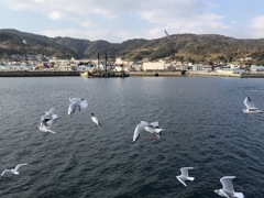 良い週末を〜♪