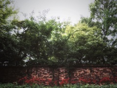 9月の写真