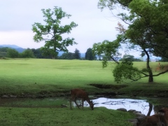 水分もしっかり…