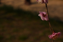 そっと…