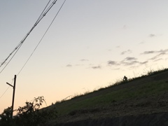家路…多分…