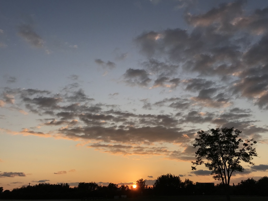 この前の夕焼け