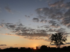 この前の夕焼け