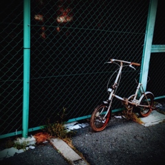 お洒落な自転車？