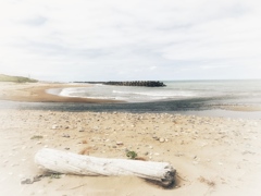 遠くの海