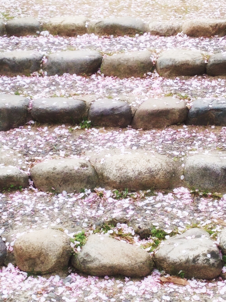 桜の階段