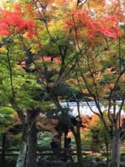 東福寺