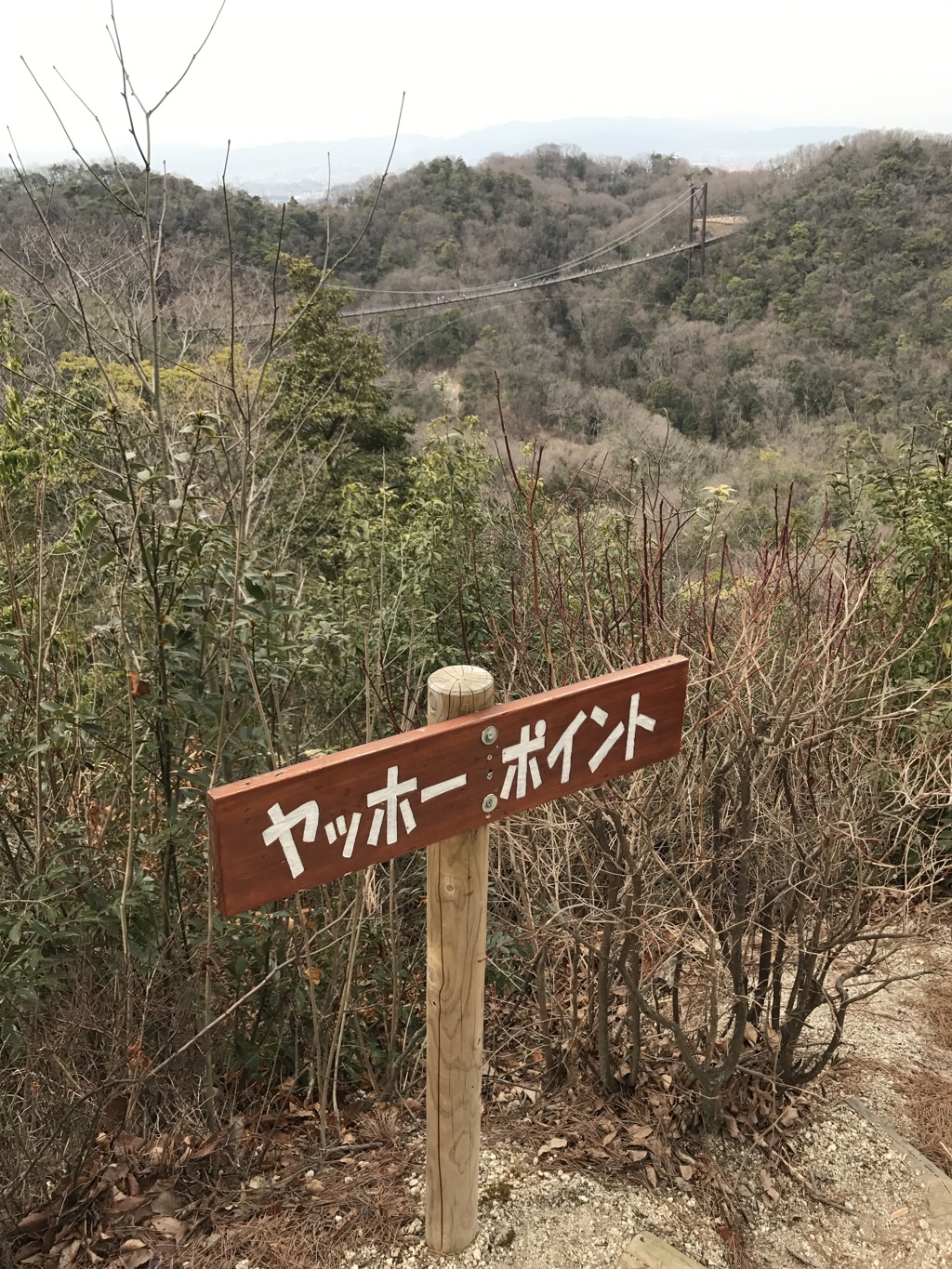 やけに声が聞こえると思ったら(≧◡≦)
