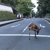 あらよっ！