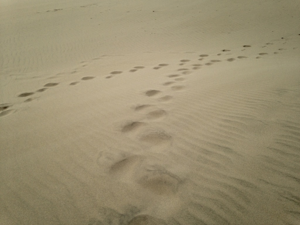 道