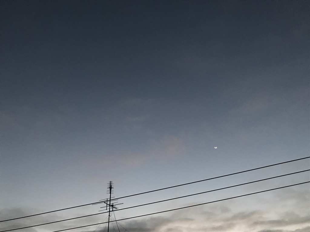 残り月