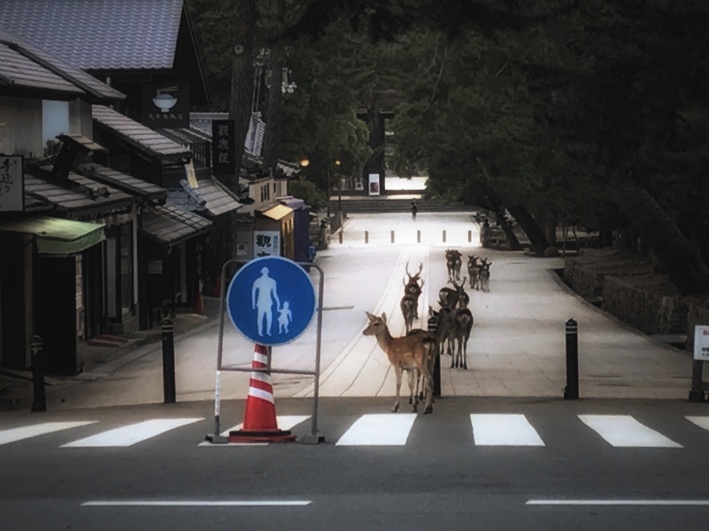 朝のお参り