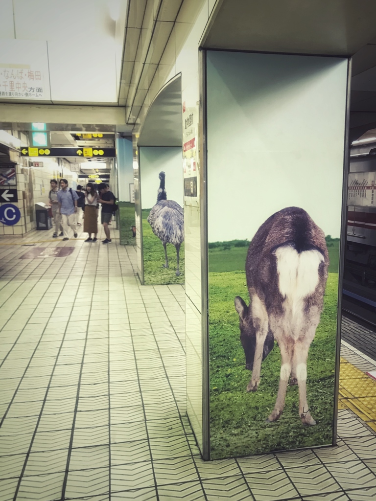 ちょっと失礼♪
