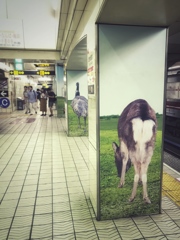 ちょっと失礼♪