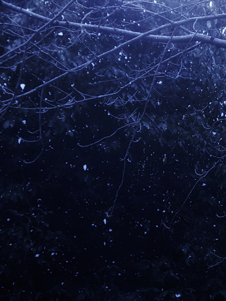 雪