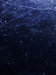 雪