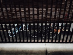 隠れる…？
