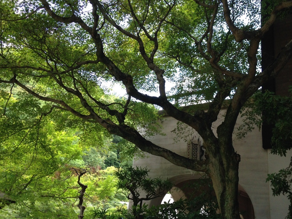京都です。