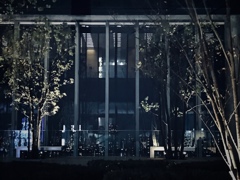 珍しく夜景