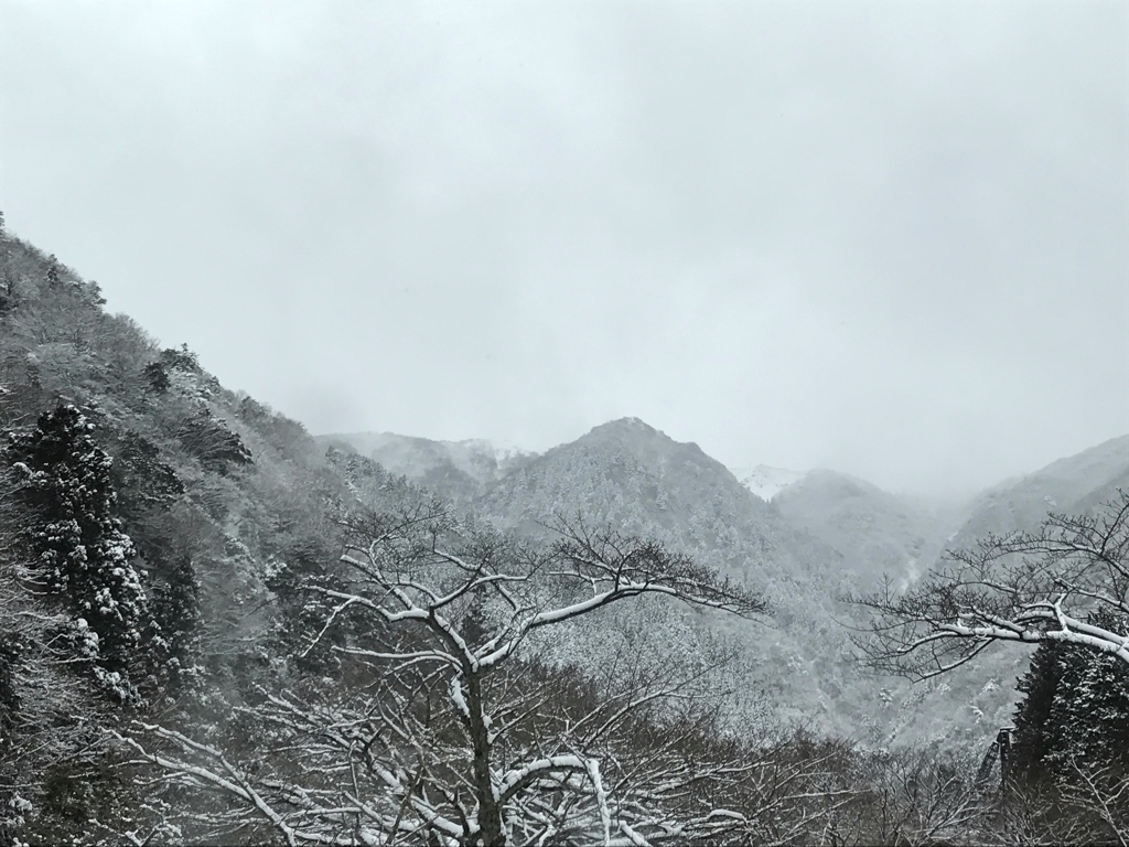 墨絵の世界
