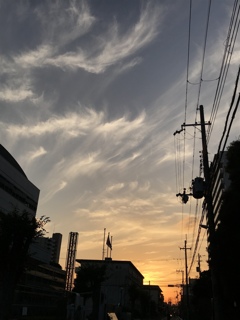 今日の夕焼け