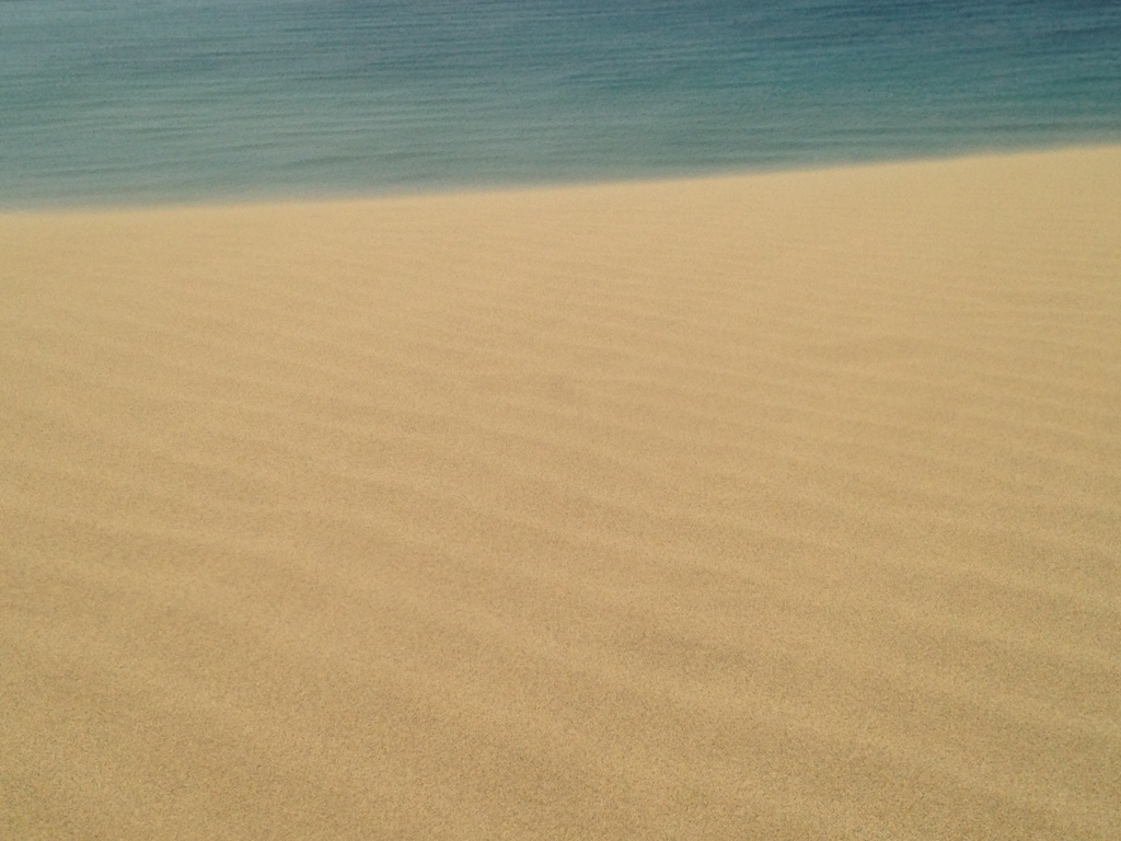 砂と海