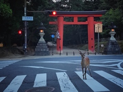 一の鳥居前