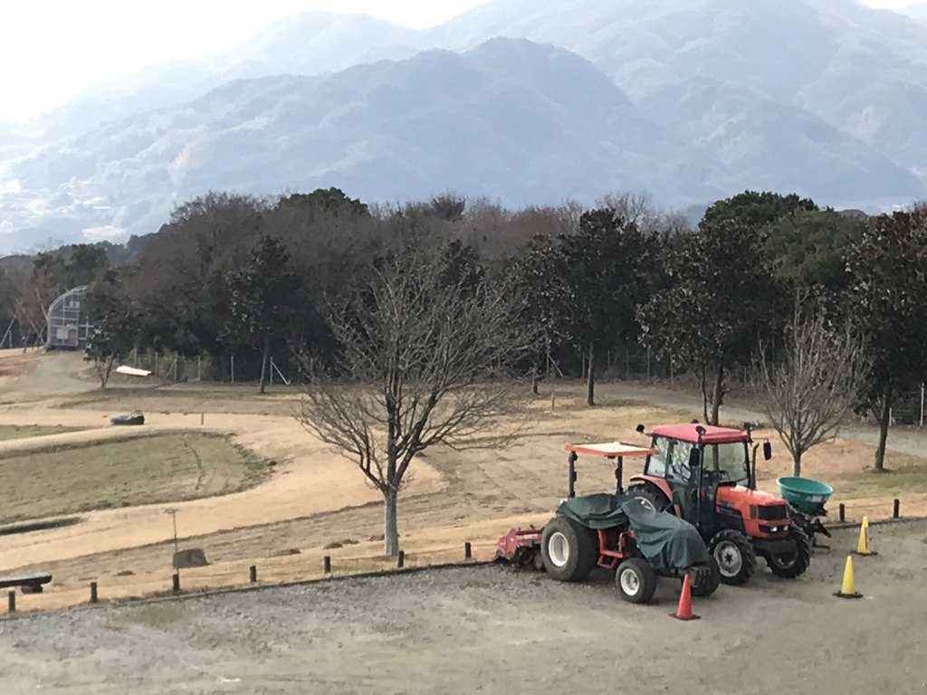 今日も。