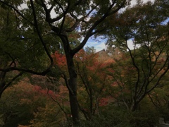 これも東福寺