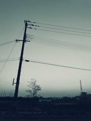 電線と電柱のある風景