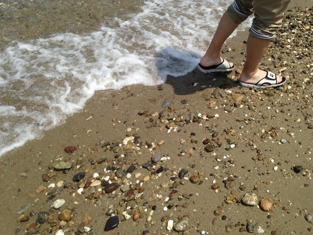 夏に忘れ物をしよう