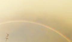 霧雨