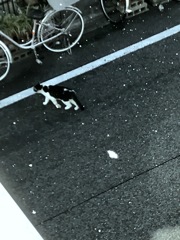 雪のちらつく中を…