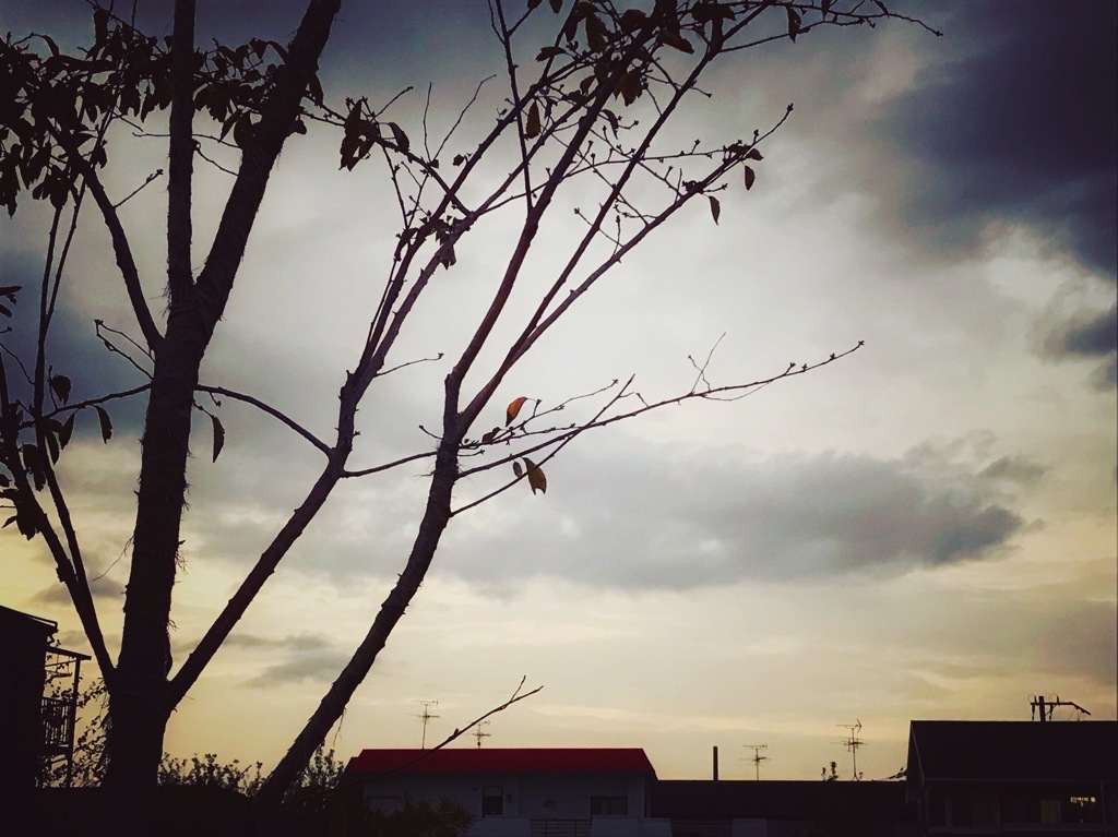 いずこも同じ秋の夕暮れ