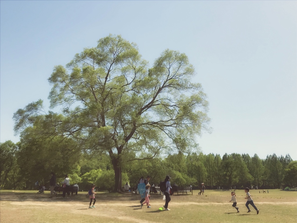 緑の季節